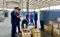 Hơn 56 tấn hải sản được xuất khẩu sang Trung Quốc