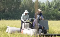 Con đường nông sản 2023 - Hành trình từ hạt gạo