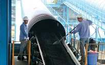 Đảm bảo cung ứng điện, cung cấp than, khí cho sản xuất điện