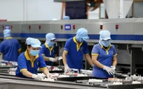Sôi nổi khí thế sản xuất đầu năm
