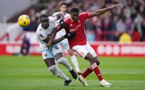 West Ham nối dài thất vọng, Tottenham gục ngã trên sân nhà