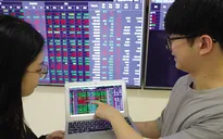Chứng khoán tăng điểm đầu xuân Giáp Thìn 2024