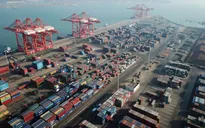 Xuất khẩu tăng trưởng tích cực từ đầu năm 2024