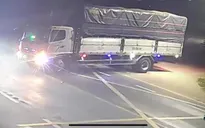 Lái xe tải đi... trộm mai