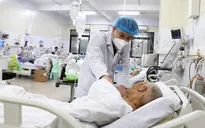 Ngừng tuần hoàn nguy kịch do ngộ độc lá ngón