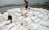 Xuất khẩu gạo Thái Lan có thể giảm mạnh