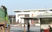 Tăng cường ngăn chặn nhập lậu động vật qua biên giới