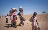 Thực trạng di dời, nạn đói và suy dinh dưỡng tăng cao gây khủng hoảng ở Sudan