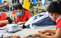 Nhộn nhịp đơn hàng xuất khẩu đầu năm