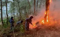 Nguy cơ cháy rừng tăng theo từng ngày ở nhiều khu vực trên cả nước