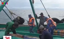 Liên tiếp bắt giữ tàu chở xăng dầu nhập lậu ngụy trang tàu cá