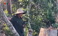 Bảo vệ rừng phòng hộ đầu nguồn