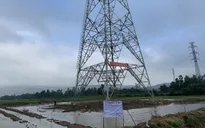 Dự án đường dây 500KV Mạch 3 phấn đấu hoàn thành đúng tiến độ