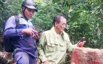 Điều tra vụ phá rừng để làm đường điện cao thế