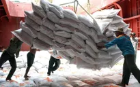 Giá gạo đẩy CPI tháng 2 tăng 3,98%