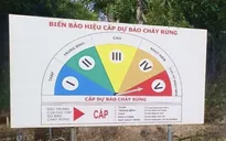 Rừng Cà Mau nguy cơ cháy cao trong mùa khô khắc nghiệt