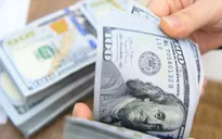 Đồng USD lên mức cao nhất trong 8 tuần