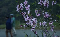Miền Bắc đón không khí lạnh, 29-30 Tết có rét đậm