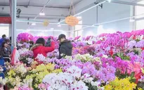 Tấp nập không khí mua sắm tại chợ hoa Tết truyền thống ở Bắc Kinh, Trung Quốc