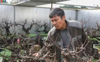 Lão nông xây "phòng nghỉ" cho đào thất thốn