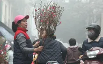 Miền Bắc rét đậm trong ngày 30 Tết, có nơi dưới 7 độ C
