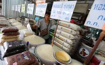 Xuất khẩu gạo Thái Lan đối mặt với nhiều khó khăn