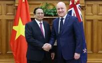 Thống nhất các phương hướng lớn thúc đẩy hợp tác Việt Nam – New Zealand