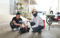 Bộ Y tế đề nghị các địa phương tăng cường công tác phòng, chống bệnh dại