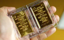Giá vàng SJC cắm đầu lao dốc
