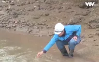 Nước sinh hoạt nhiễm mặn, ''có ngày còn mặn hơn cả nước muối sinh lý''