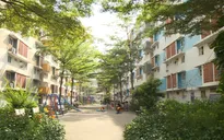 Ngân hàng nỗ lực giải ngân cho vay nhà ở xã hội