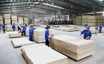 Triển vọng phục hồi sản xuất, xuất khẩu