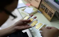 Thủ tướng yêu cầu thanh tra các doanh nghiệp kinh doanh vàng