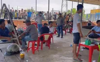 Bình Thuận: Triệt phá tụ điểm đá gà, bắt giữ 15 đối tượng