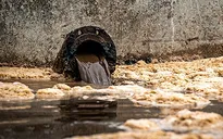 Ô nhiễm nước thải đe dọa một con sông ở Anh