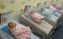 Tỷ lệ sinh toàn cầu sẽ giảm vào cuối thế kỷ này