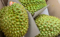 Truy xuất lô hàng sầu riêng bị Trung Quốc cảnh báo