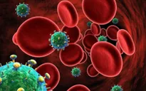Loại bỏ virus HIV khỏi tế bào: Bước tiến trong việc điều trị căn bệnh thế kỷ