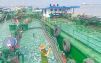 Khởi tố 2 cán bộ hải quan liên quan đến buôn lậu xăng dầu