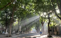 Dự báo thời tiết ngày 24/3: Bắc Bộ tăng nhiệt, có nơi trên 35 độ