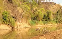 Đi chăn bò, 3 trẻ nhỏ tắm sông đuối nước tử vong