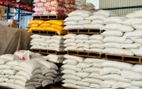 Giá gạo xuất khẩu của Việt Nam tiếp tục tăng