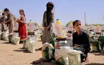 Cảnh báo tình trạng khẩn cấp về giáo dục tại Yemen