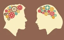 AI có thể phân biệt sự khác biệt giữa bộ não nam và nữ