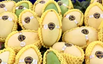 Xoài keo Việt "xuất ngoại" thành công