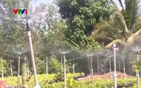 Nhà vườn tại Bến Tre ứng phó tình trạng xâm nhập mặn