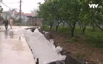 Nguồn nước tưới ô nhiễm, người dân “kêu trời”