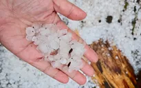 Mưa đá, gió lốc làm nhà cửa tốc mái, hoa màu hư hại ở Bắc Bộ