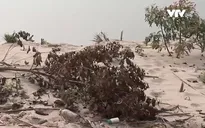 Nỗi lo sạt lở từ hoạt động khai thác cát trái phép