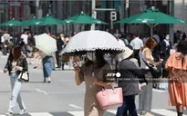 Thủ đô Tokyo của Nhật Bản ghi nhận nhiệt độ cao kỷ lục trong tháng 3